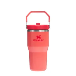 stanley-stanley-kubek-iceflow-flip-straw-06-l-hot-coral