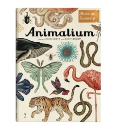 ksiazka-animalium-muzeum-zwierzat-wyd-3