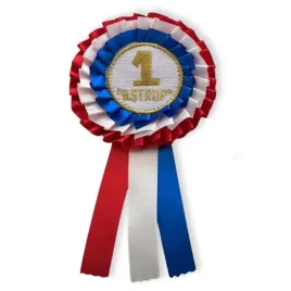 astrup-rozeta-dla-konia-nr-1