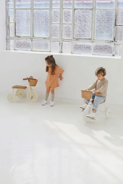 banwood-rowerek-trojkolowy-trike-white-kod-producenta-bw-trike-white