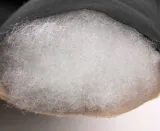 amazonas-hustawka-california-sand-kod-producenta-california-sand