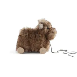 kid-s-concept-los-do-ciagniecia-edvin