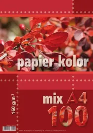 papier-ozdobny-a4-mix-kolorow-160-g-100-arkuszy-kreska