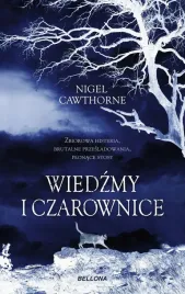 wiedzmy-i-czarownice