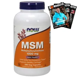 now-foods-msm-metylosulfonylometan-1000mg-240-kaps