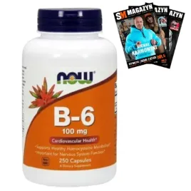 now-foods-witamina-b-6-100mg-250k-uklad-nerwowy