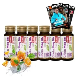 olimp-chela-mag-b6-forte-shot-magnez-w-plynie-na-skurcze-6x25ml