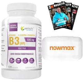 wish-niacyna-witamina-b3-pp-500-mg-inulina-skora-paznokcie-120k-pill-box