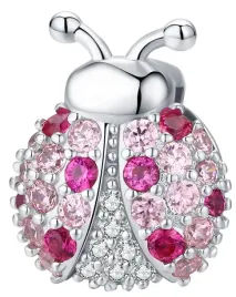 charms-srebro-925-do-plaskiej-bransoletki-biedronka-srebrna-czerwinski