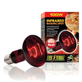 exo-terra-infrared-basking-spot-100w-czerwona-zarowka-grzewcza