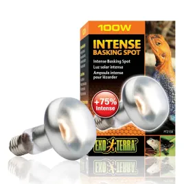exo-terra-intense-basking-spot-100w-80mm-zarowka-do-terrarium