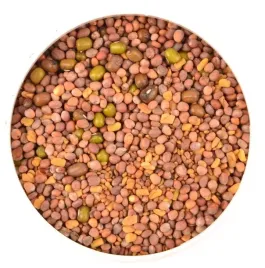 mieszanka-pikantna-nasion-na-kielki-30g-legutko-69