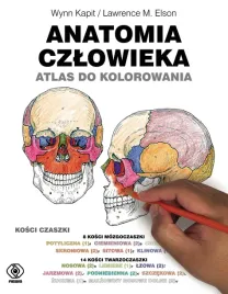 anatomia-czlowieka-atlas-do-kolorowania