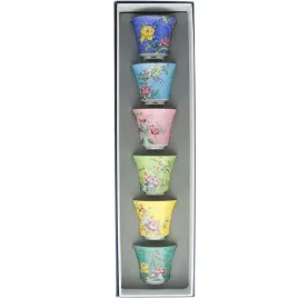 filizanki-do-herbaty-i-ziol-czarki-6x-czarek-zestaw-porecelanowy-na-prezent