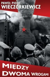 miedzy-dwoma-wrogami-studia-i-publicystyka