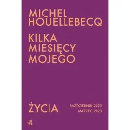 kilka-miesiecy-mojego-zycia