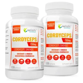 cordyceps-40percent-750mg-odpornosc-pozytywny-nastroj-wiecej-energii-240-kapsulek