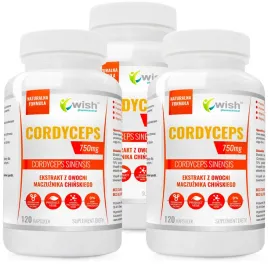cordyceps-40percent-750mg-odpornosc-pozytywny-nastroj-wiecej-energii-360-kapsulek