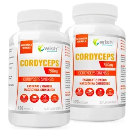 cordyceps-40percent-750mg-odpornosc-pozytywny-nastroj-wiecej-energii-240-kapsulek