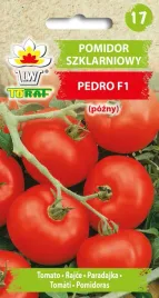 pomidor-szklarniowy-pedro-f1-wysoki-pozny-do-tuneli-szklarni-nasiona-02g