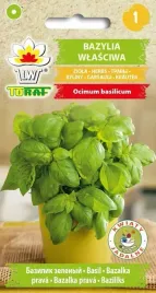 nasiona-bazylia-wlasciwa-1g