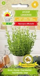 nasiona-hyzop-lekarski-05g