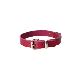 dingo-natural-leather-skorzana-obroza-20x50-cm-violet