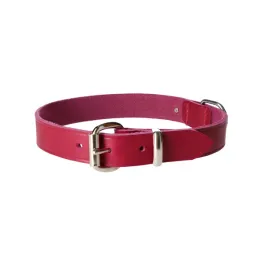 dingo-natural-leather-skorzana-obroza-25x60-cm-violet