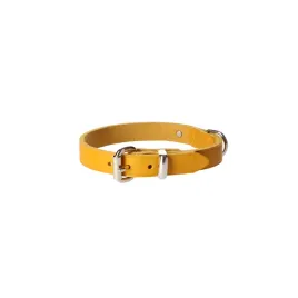 dingo-natural-leather-skorzana-obroza-16x40-cm-curry