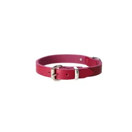 dingo-natural-leather-skorzana-obroza-16x40-cm-violet
