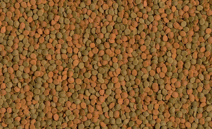 tetra-wafer-mix-100ml-marka-tetra