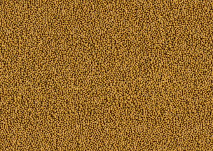 tetra-pond-pellets-mini-4l-waga-z-opakowaniem-2-kg