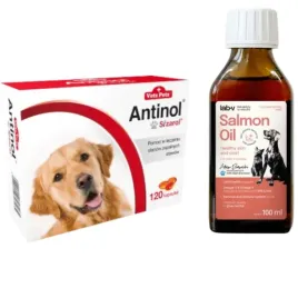 biovico-antinol-sizarol-pies-120-tabletek-na-stawy-lab-v-olej-z-lososia-1