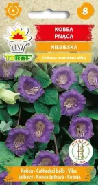 nasiona-kobea-pnaca-fioletowa-6-szt