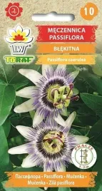 nasiona-meczennica-passiflora-blekitna-02g