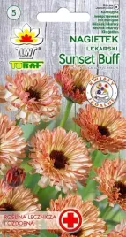 nasiona-nagietek-sunset-buff-1g