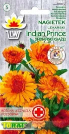 nasiona-nagietek-indian-prince-1g