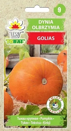 nasiona-dynia-golias-4g