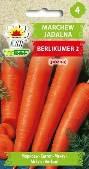 nasiona-marchew-berlikumer-5g