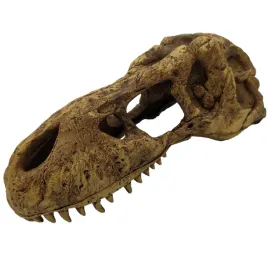 kryjowka-do-terrarium-czaszka-dinozaura