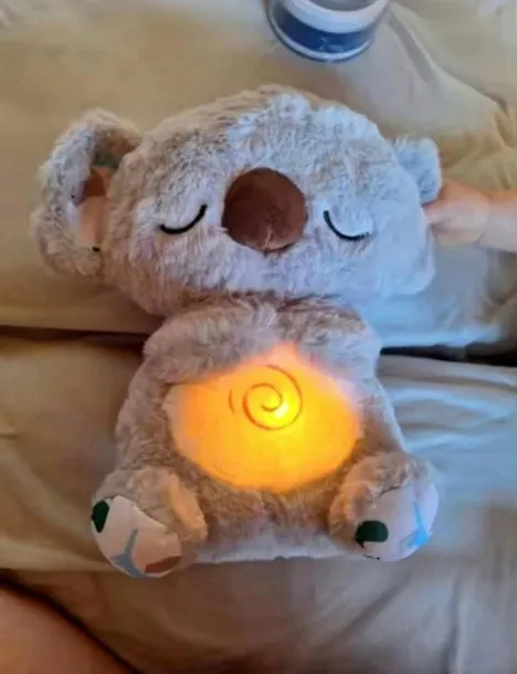 mis-koala-przytulis-bohater-inny