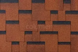 gont-accord-jive-4a4e21-1224-braz-kontrast