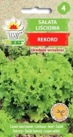 nasiona-salata-lisciowa-rekord-1g