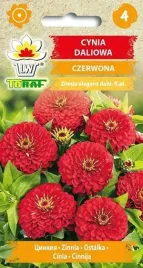 nasiona-cynia-daliowa-czerwona-1g