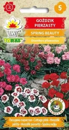 nasiona-gozdzik-pierzasty-spring-beauty-mix-05g