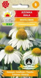 nasiona-jezowka-white-swan-02g