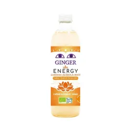 piwo-imbirowe-energy-bezalkoholowe-fair-for-life-bio-350-ml-karma