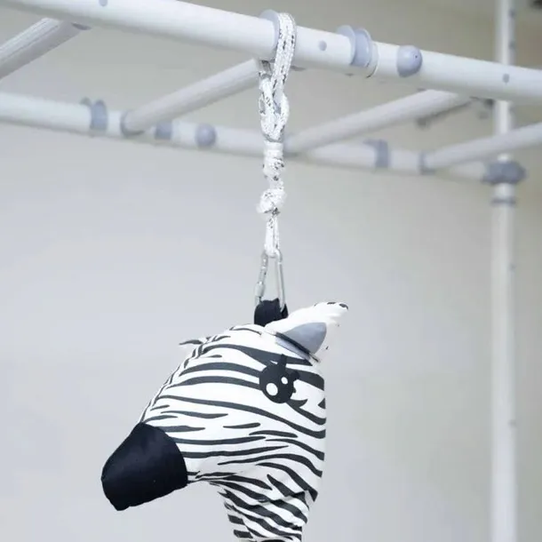 hustawka-kokon-zebra-rodzaj-pozostale