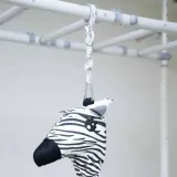 hustawka-kokon-zebra-rodzaj-pozostale
