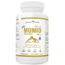 natural-herbs-mumio-400mg-shilajit-ekstrakt-90-kapsulek-vege-alto-pharma